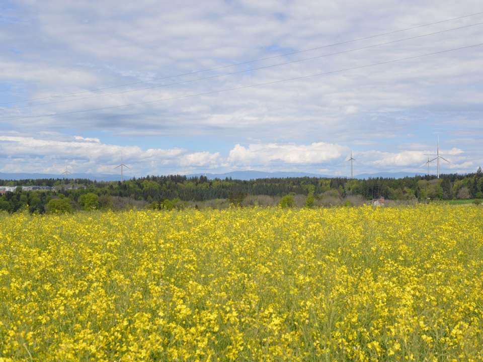 Le projet de parc éolien EolJorat Sud est finalisé et mis à l’enquête publique du 12 juin au 11 juillet 2024