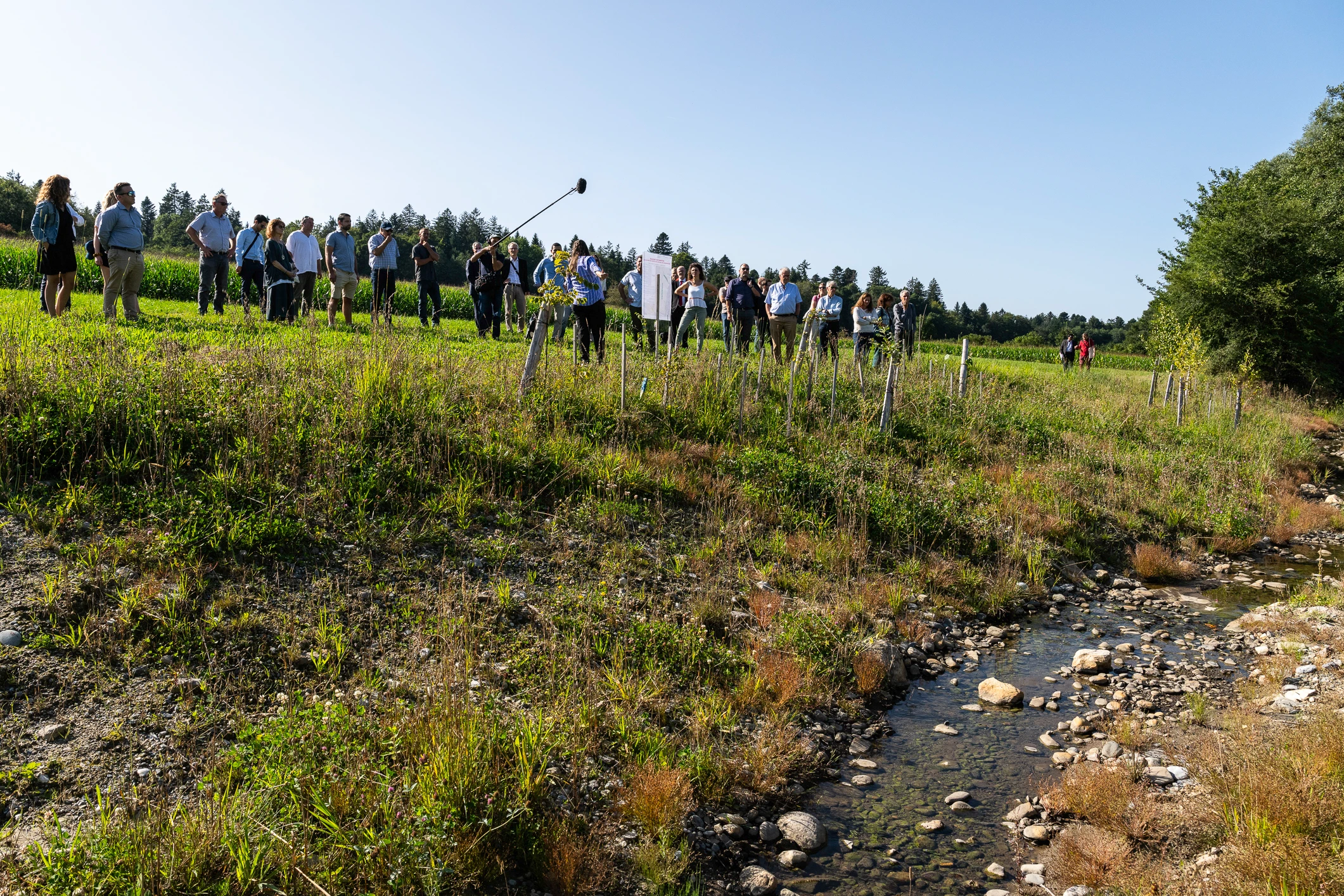 Revitalisation des sources de la plaine de Mauvernay