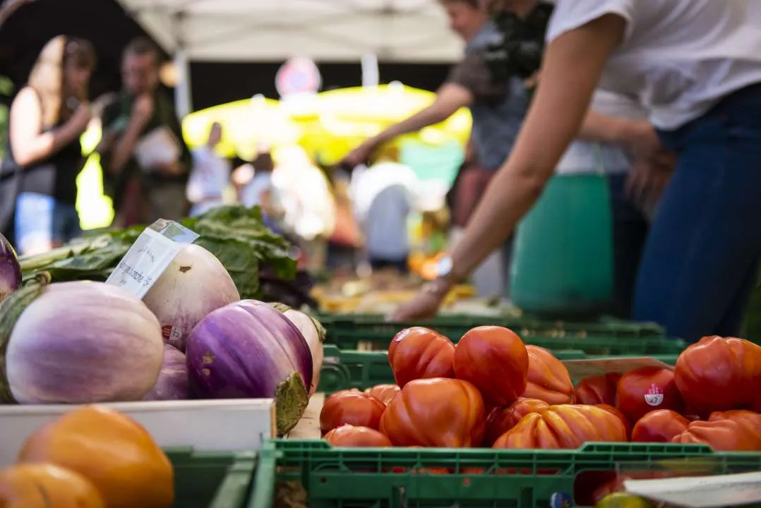 Marché d’automne de Lausanne avec ProSpecieRara: fêtons nos traditions