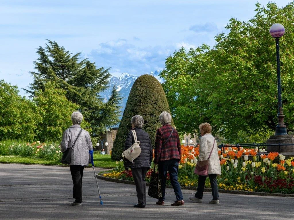 Les seniors à Lausanne: une analyse démographique et sociale approfondie