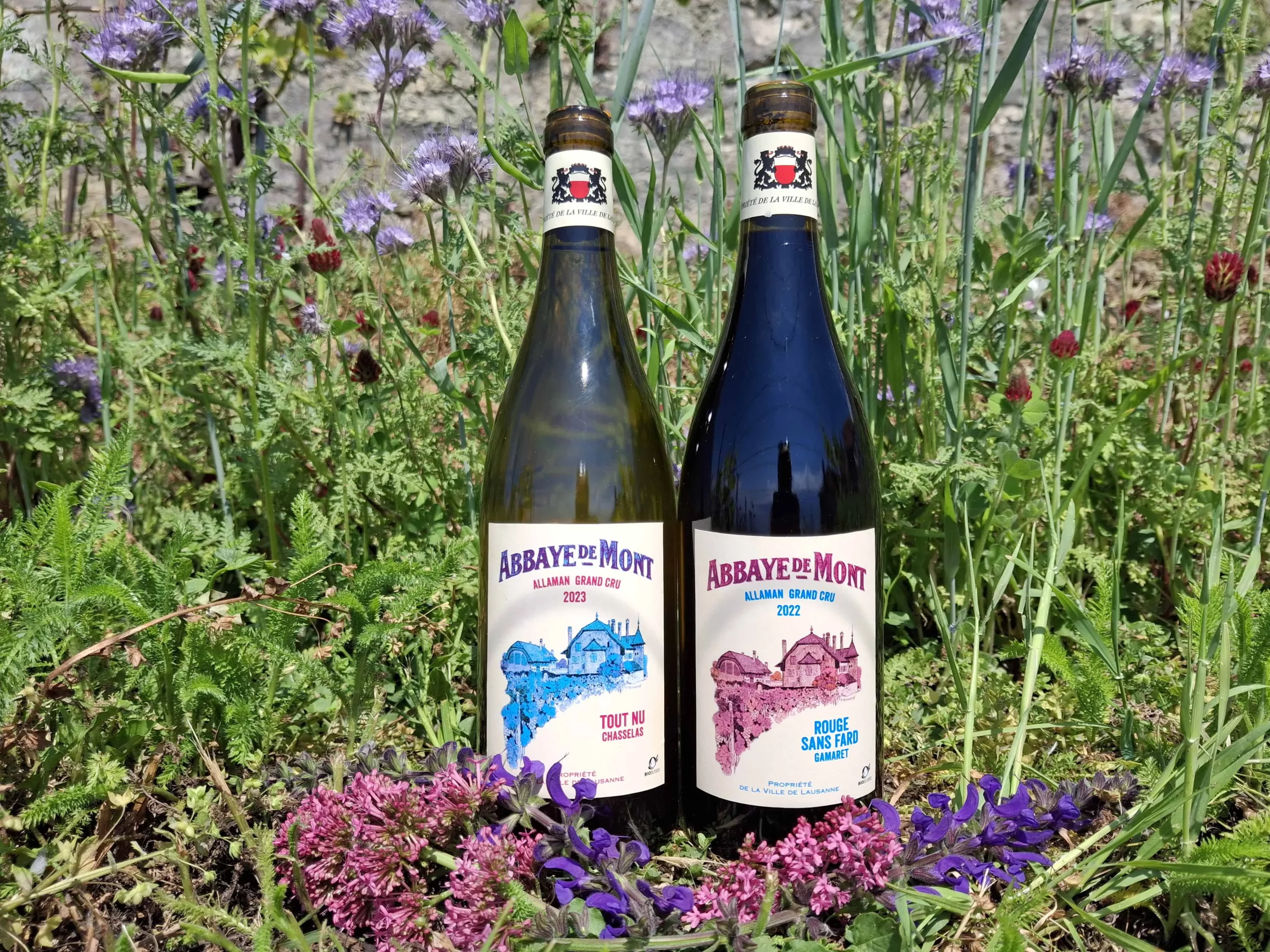 Marché d’été: Vins de Lausanne et produits d’ici – une dégustation sous le signe du plaisir durable