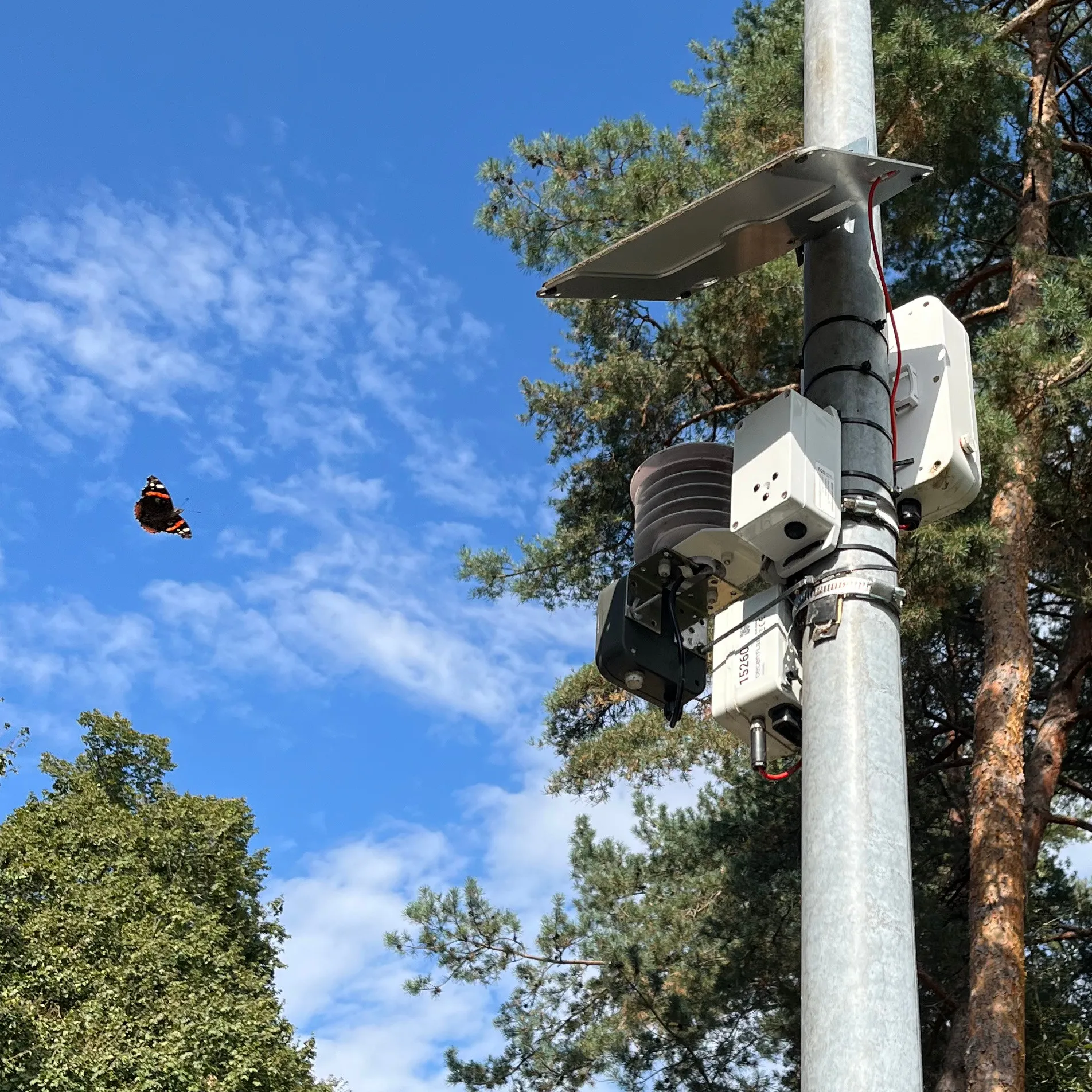 Observatoire de l’environnement: la Ville de Lausanne renforce son engagement pour l’environnement et la santé