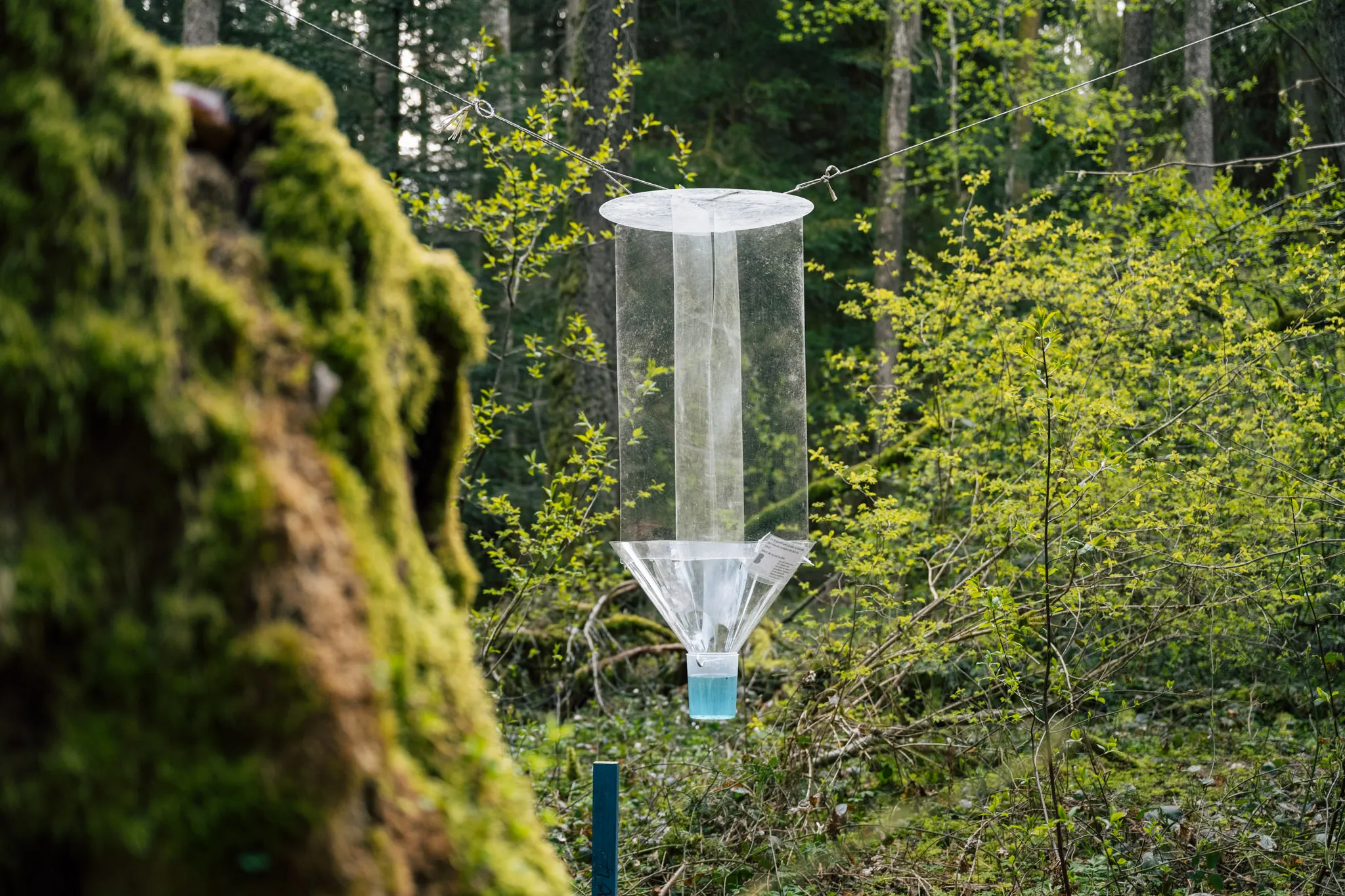 Le Parc naturel du Jorat dévoile ses premières données scientifiques
