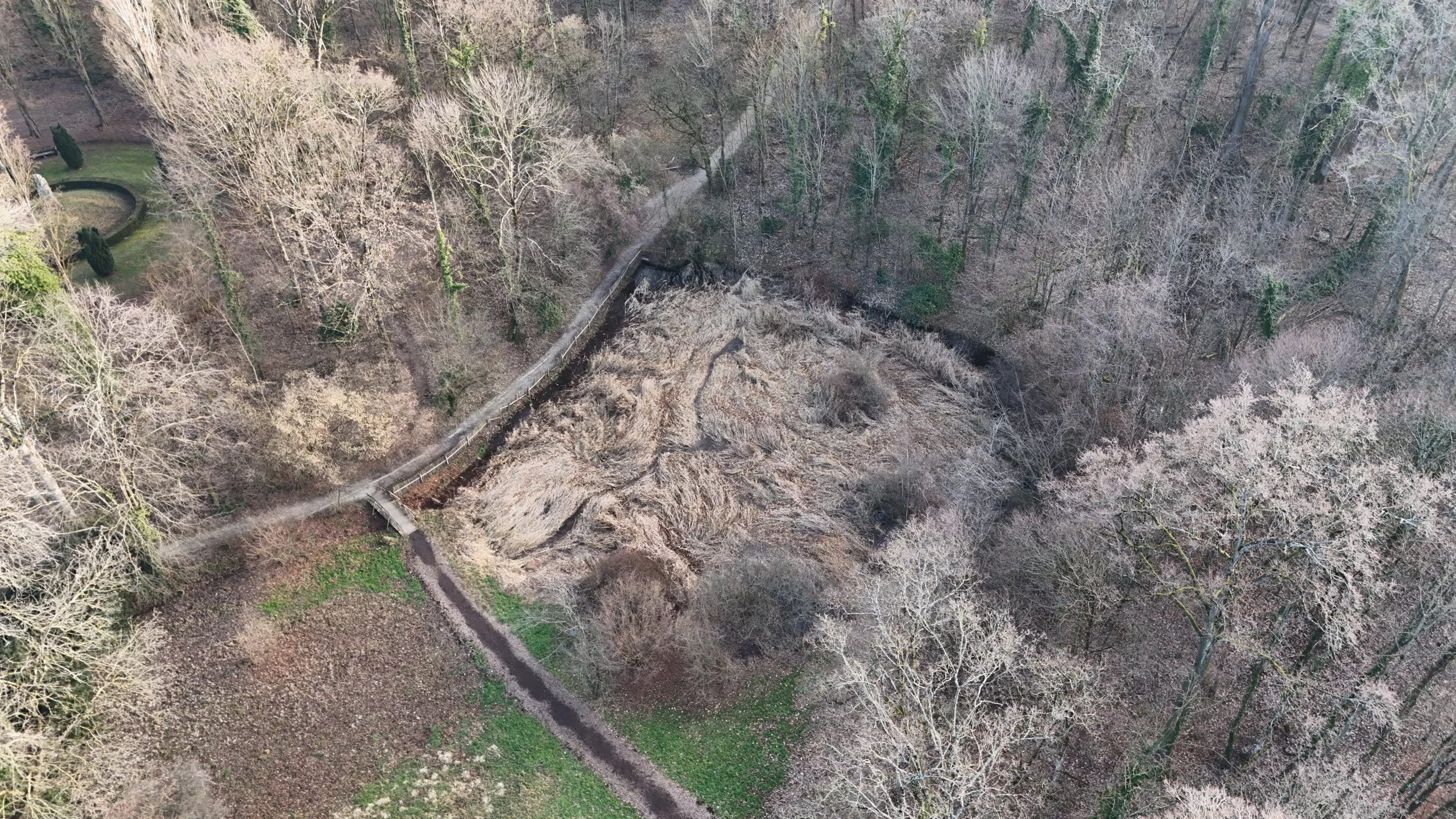 Nature en ville: l’étang du Bourget restauré pour accueillir à nouveau la biodiversité